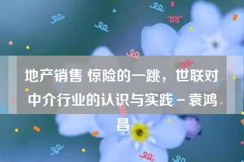 地产销售 惊险的一跳，世联对中介行业的认识与实践－袁鸿昌