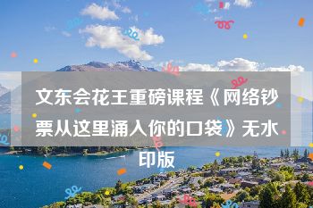 文东会花王重磅课程《网络钞票从这里涌入你的口袋》无水印版