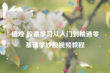 蜡烛 股票学习从入门到精通零基础学炒股视频教程