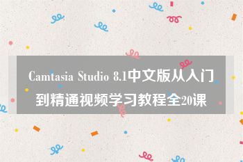 Camtasia Studio 8.1中文版从入门到精通视频学习教程全20课