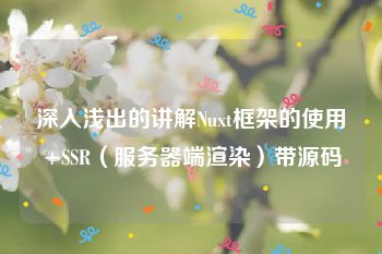 深入浅出的讲解Nuxt框架的使用+SSR（服务器端渲染）带源码