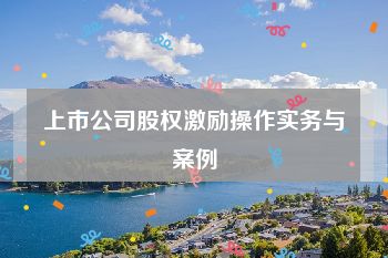 上市公司股权激励操作实务与案例