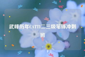 武峰历年CATTI二三级笔译冲刺班