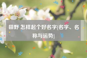 田野 怎样起个好名字[名字、名称与运势]