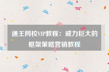 通王网校VIP教程：威力巨大的框架策略营销教程