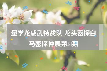 量学龙威武特战队 龙头密探白马密探仲展第31期