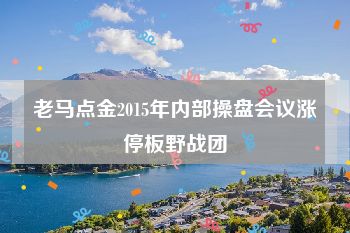 老马点金2015年内部操盘会议涨停板野战团