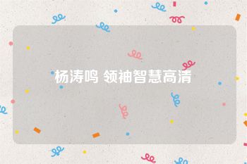 杨涛鸣 领袖智慧高清