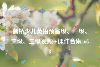 剑桥少儿英语预备级、一级、二级、三级视频+课件合集16GB