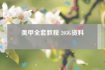 美甲全套教程 203G资料