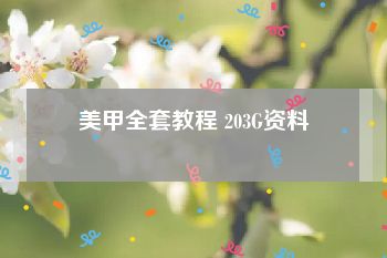 美甲全套教程 203G资料