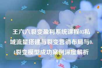 王六六裂变盈利系统课程03私域流量搭建与裂变营销布局与04裂变模型成功案例深度解析