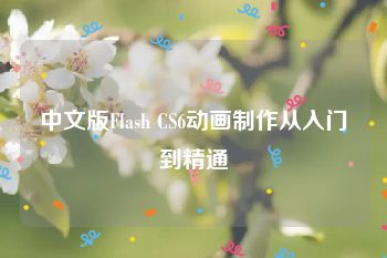 中文版Flash CS6动画制作从入门到精通