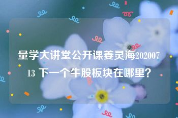 量学大讲堂公开课姜灵海20200713 下一个牛股板块在哪里？