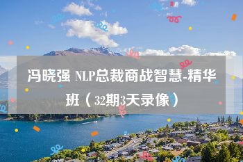 冯晓强 NLP总裁商战智慧-精华班（32期3天录像）