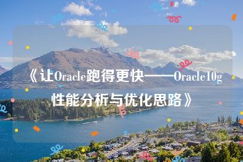 《让Oracle跑得更快——Oracle10g性能分析与优化思路》