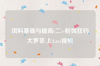 饵料基础与提高(二)-粉饵狂钓大罗非.上4.avi视频