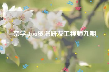 奈学 Java资深研发工程师九期