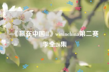 《赢在中国II》wininchina第二赛季全26集