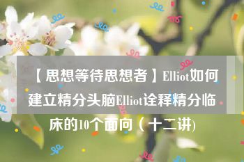 【思想等待思想者】Elliot如何建立精分头脑Elliot诠释精分临床的10个面向（十二讲)