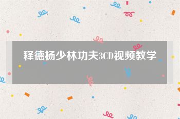 释德杨少林功夫3CD视频教学