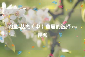 钓鱼-丛杰（中）鱼层的选择.rm视频