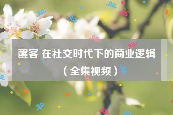 醒客 在社交时代下的商业逻辑（全集视频）