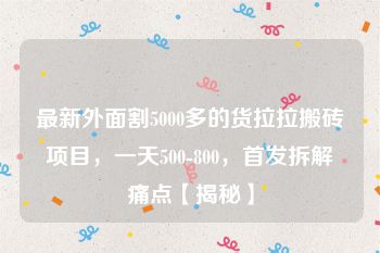 最新外面割5000多的货拉拉搬砖项目，一天500-800，首发拆解痛点【揭秘】