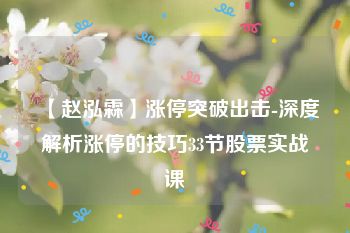 【赵泓霖】涨停突破出击-深度解析涨停的技巧33节股票实战课