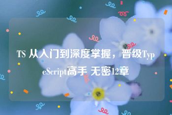 TS 从入门到深度掌握，晋级TypeScript高手 无密12章