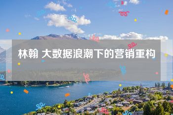 林翰 大数据浪潮下的营销重构