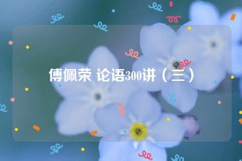 傅佩荣 论语300讲（三）