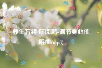 养生音频 廖阅鹏-调节身心催眠曲(mp3)