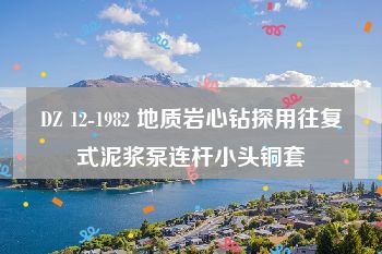 DZ 12-1982 地质岩心钻探用往复式泥浆泵连杆小头铜套