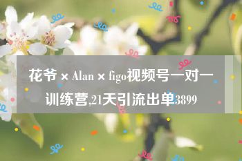 花爷×Alan×figo视频号一对一训练营,21天引流出单3899