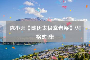 陈小旺《陈氏太极拳老架》AVI格式4集