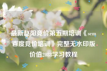 最新赵阳竞价第五期培训《sem百度竞价培训》完整无水印版价值2088学习教程