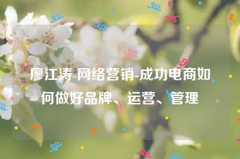 廖江涛 网络营销-成功电商如何做好品牌、运营、管理