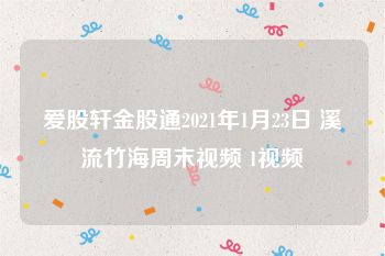 爱股轩金股通2021年1月23日 溪流竹海周末视频 1视频