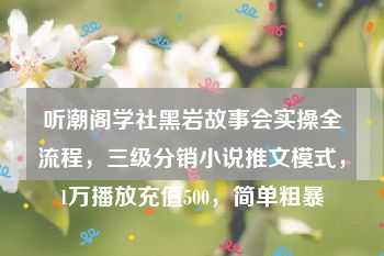 听潮阁学社黑岩故事会实操全流程，三级分销小说推文模式，1万播放充值500，简单粗暴