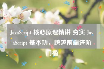 JavaScript 核心原理精讲 夯实 JavaScript 基本功，跨越前端进阶门槛