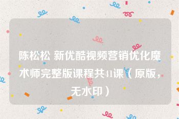 陈松松 新优酷视频营销优化魔术师完整版课程共41课（原版，无水印）