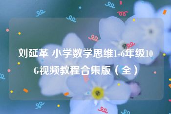 刘延革 小学数学思维1-6年级10G视频教程合集版（全）