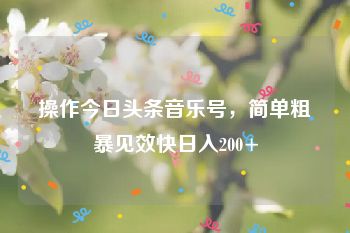 操作今日头条音乐号，简单粗暴见效快日入200+