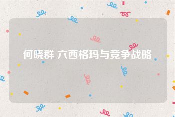 何晓群 六西格玛与竞争战略