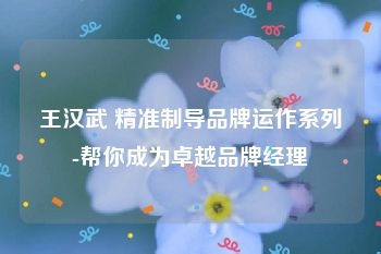 王汉武 精准制导品牌运作系列-帮你成为卓越品牌经理