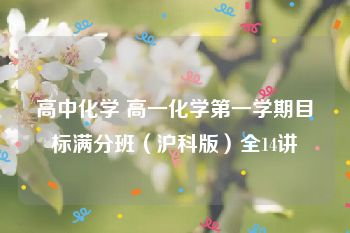 高中化学 高一化学第一学期目标满分班（沪科版）全14讲