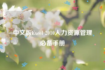 中文版Excel 2010人力资源管理必备手册