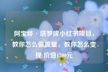 阿宝烨·塔罗牌小红书项目，教你怎么做流量，教你怎么变现 价值1700元