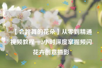 【会跳舞的花朵】从零到精通视频教程—2小时深度掌握频闪花卉创意摄影